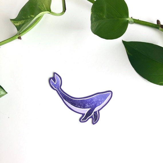 water bottle laptop purple whale sticker purple dreamy space whale ...