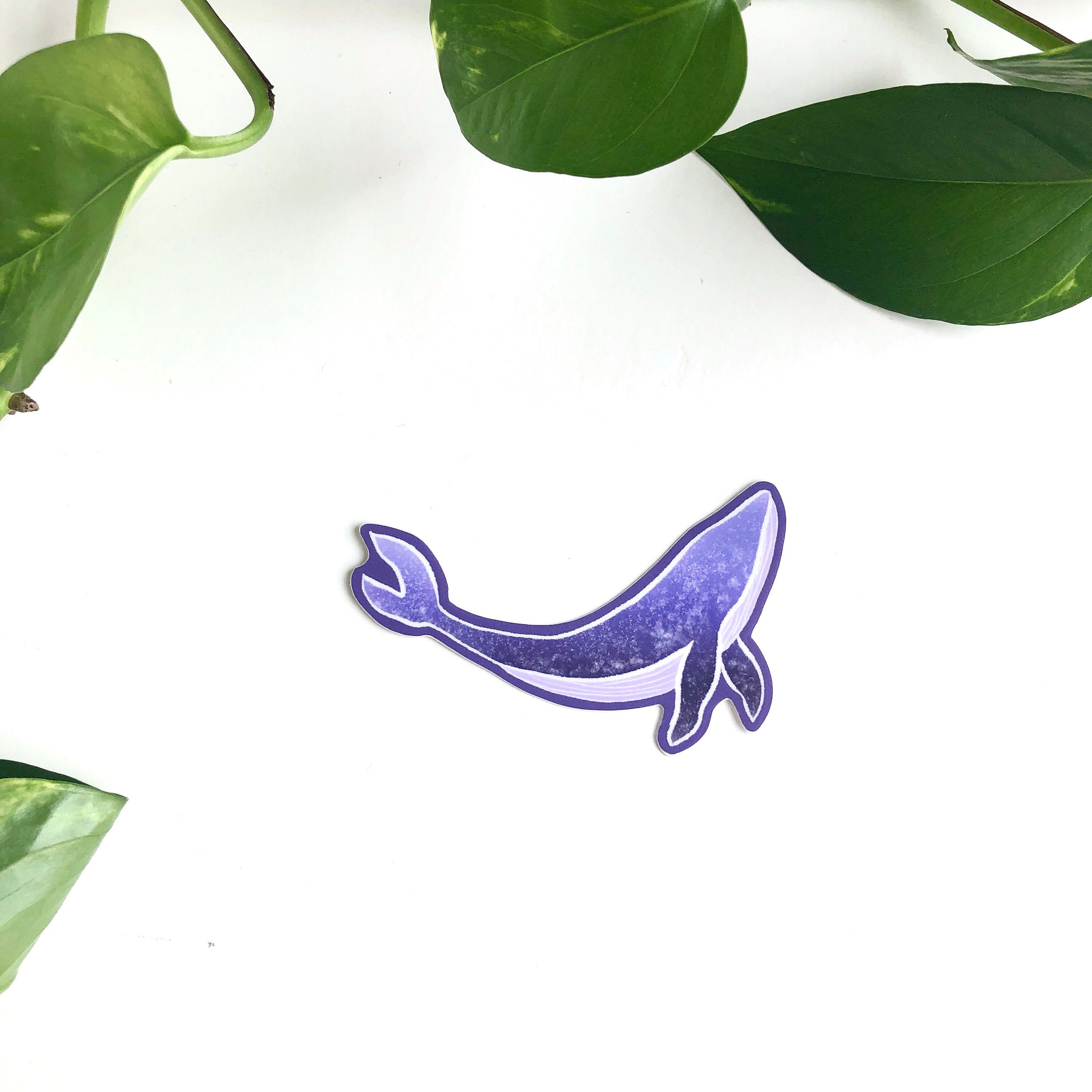 water bottle laptop purple whale sticker purple dreamy space whale ...