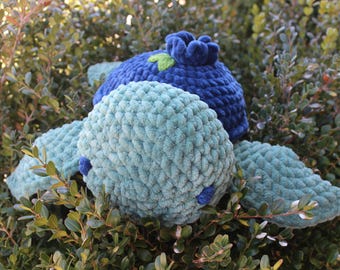 Blue Berry Turtle