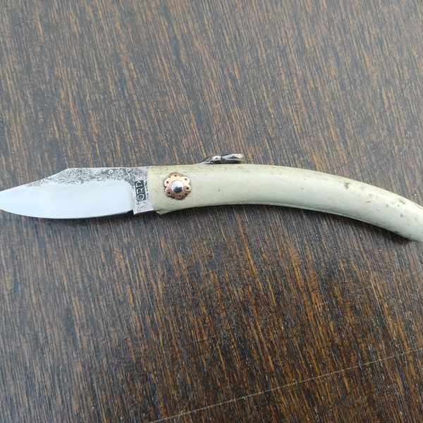 Friction folding knife with Red deer antler handle and forged silver-steel blade.