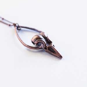 Bird Skull Necklace - Small Raven Skull Necklace - Electroformed Raven Necklace