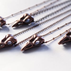 Copper Bird Skull Necklace - Bird Skull Necklace - Small Raven Skull Necklace - Electroformed Raven Necklace