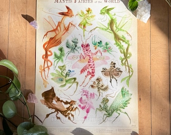 Mantis Fairies of the World Art Print | Vintage Scientific Illustration-Style Fairy Species Chart