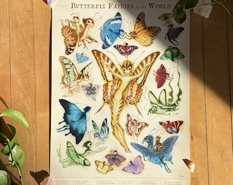 Butterfly Fairies of the World Print | Vintage Scientific Fae Illustration