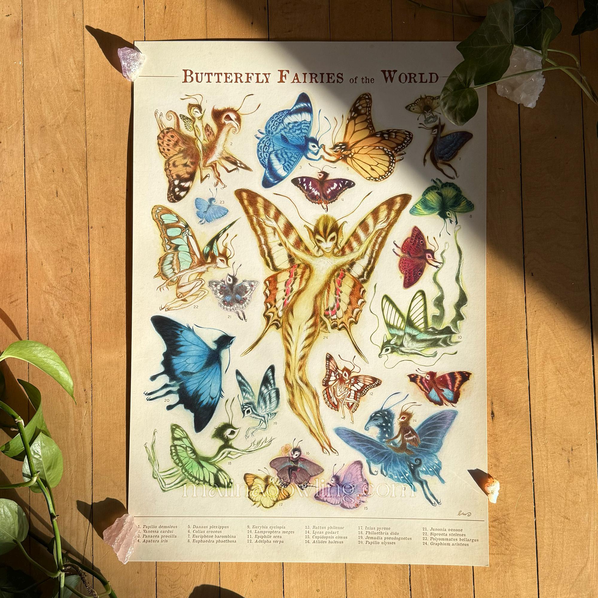 Butterfly Fairies of the World Print | Vintage Scientific Fae