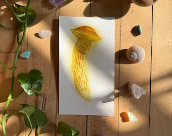 Shaggy Stemmed Bolete | ORIGINAL PAINTING | Ooak Watercolor Mushroom Art |