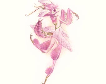 Orchid Mantis Fairy | praying mantis fae print | 9x9 inches