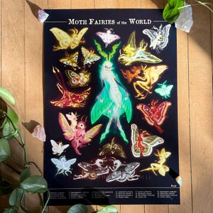 Moth Fairies of the World Art Print: Vintage Fantasy Species Chart