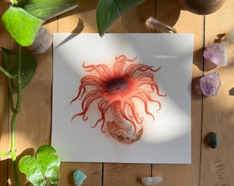 Anemone Stinkhorn | ORIGINAL PAINTING | Ooak Watercolor Mushroom Art |