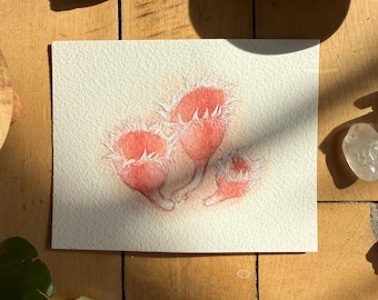Pink Fringed Faery Cup | ORIGINAL PAINTING | Ooak Watercolor Mushroom Art |