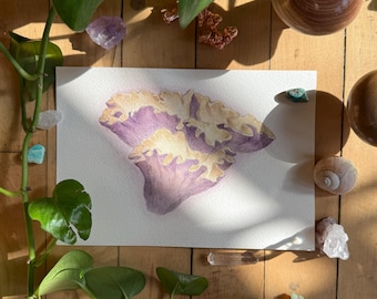 Pig's Ear | ORIGINAL PAINTING | Ooak Watercolor Mushroom Art |