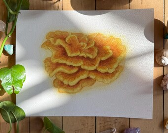 Chicken of the Woods | ORIGINAL PAINTING | Ooak Watercolor Mushroom Art |