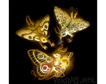 Chase the Light | moth nature fantasy print | cute whimsical fine art illustration | 9x9 inches |