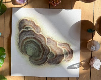 Dark-footed Tinypore | ORIGINAL PAINTING | Ooak Watercolor Mushroom Art |