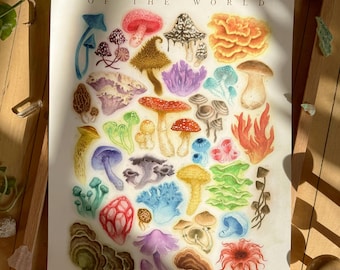 Mushrooms of the World Print | botanical fungus species chart |