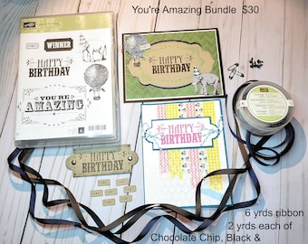 Stampin Up You're Amazing bundle  tamp card ribbon elephant Birthday Thinking of You Vintage Trinkets Cards Balloon Ticket Circus Celebrate