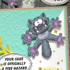 May include: A gray cat with pink paws is reaching for a cake. The text "YOUR CAKE IS OFFICIALLY A FIRE HAZARD" is on a white oval sticker. The background is a teal blue with white stars and confetti.