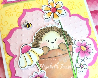 3 Stampin Up Card Kit Hedgehugs Hedgehog Spring Birthday Thinking of You flower Get Well Hugs DIY hand crafted custom hand stamped