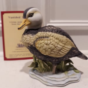 Vanished Species - Porcelain Labrador Duck - Limited Serially Numbered Exotic Bird Collection - Hand Painted - Original Box