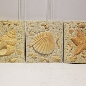 May include: Three beige-colored wall plaques with raised 3D images of seashells and a starfish. The plaques are made of a textured material that resembles sand.
