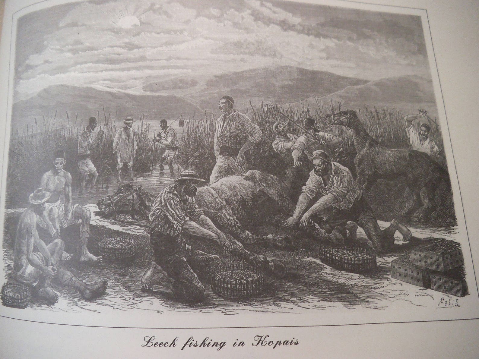 Greece in 1800 Catalog Engravings of the Era Deluxe Etsy