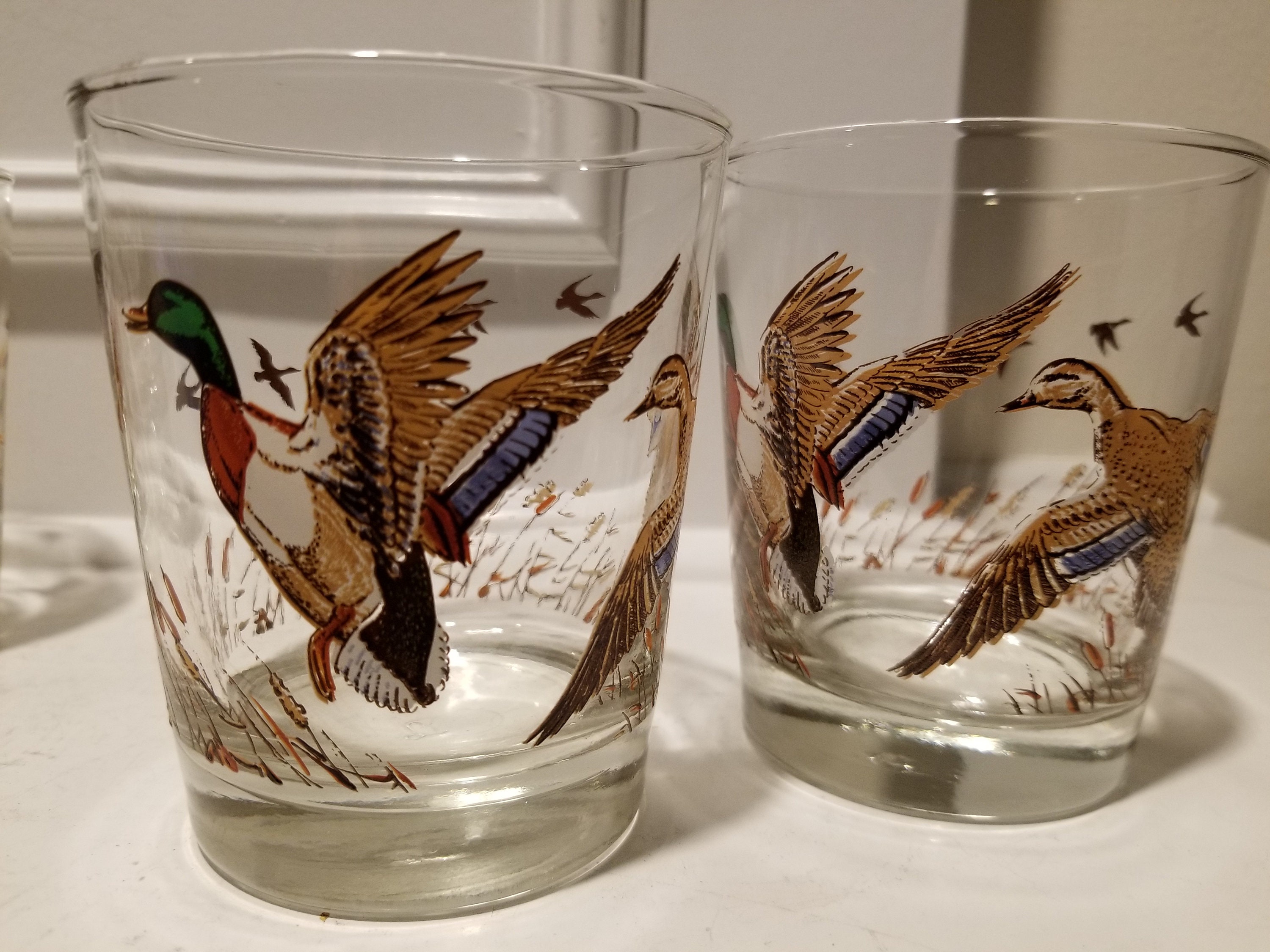 Set of 6 Bird Glasses Painted Glasses Set of 6 Etsy