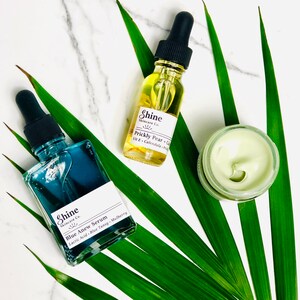 Natural Skincare Set: Lactic Acid Serum, Prickly Pear Oil, Organic Moisturizer bild 2
