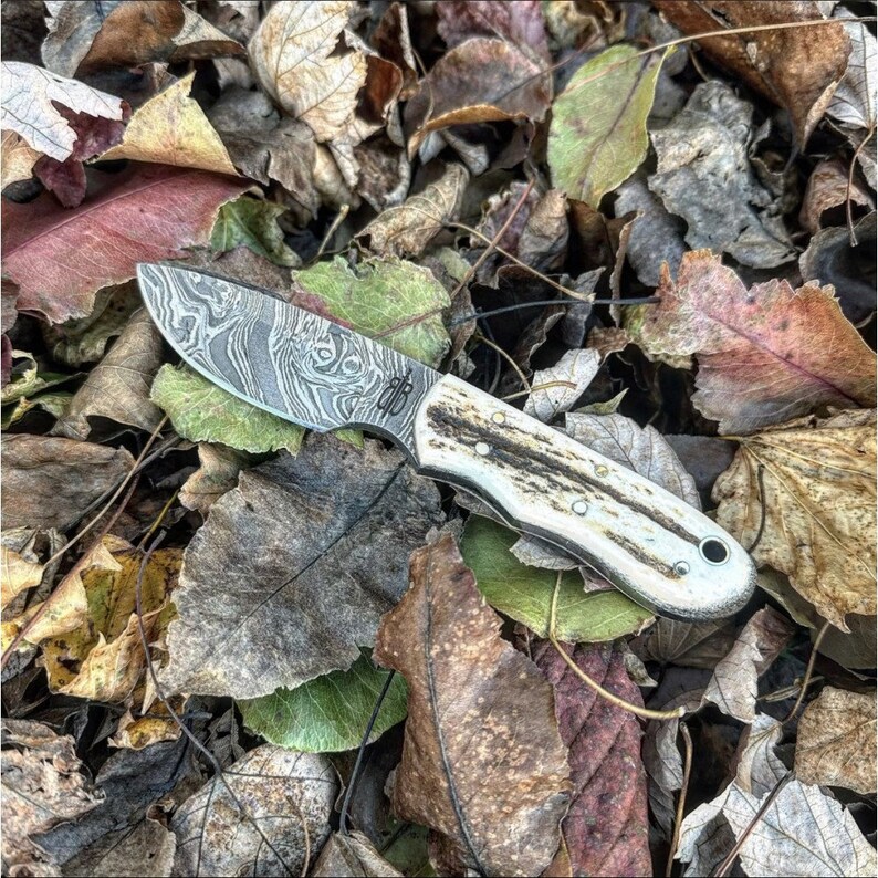 May include: A small, silver knife with a patterned blade and a bone handle. The knife is lying on a bed of fallen leaves.