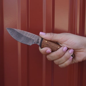 May include: A small, hand-crafted knife with a patterned, dark gray blade and a brown wooden handle with brass accents.