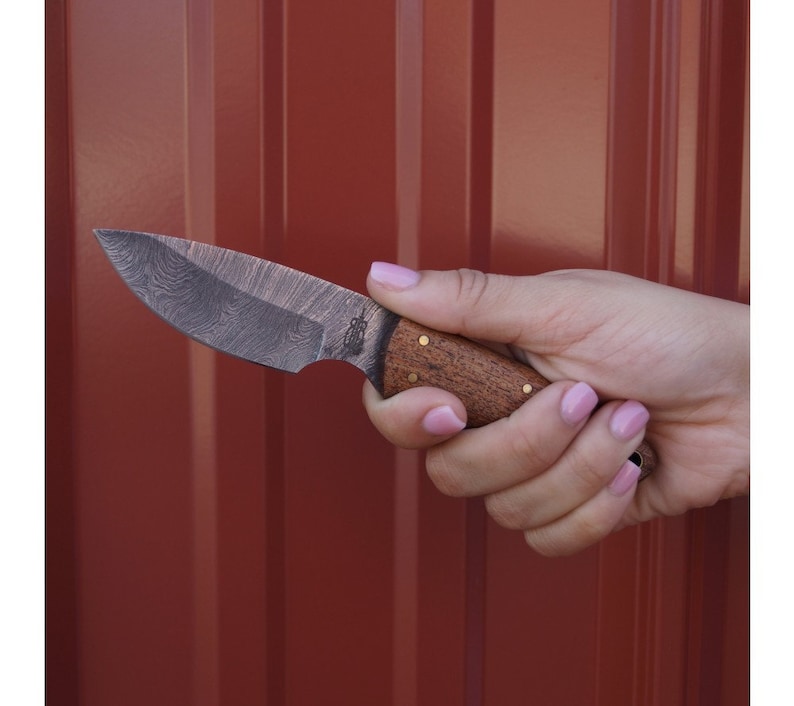 May include: A small, hand-crafted knife with a patterned, dark gray blade and a brown wooden handle with brass accents.