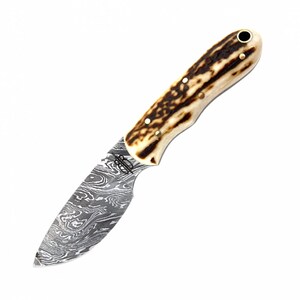 Custom Handmad Mini Hunter 1095 Damascus Steel With Walnut Wood Handle And Leather Sheath Included image 5