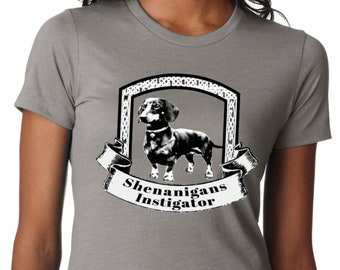 SHENANIGANS INSTIGATOR Womens T Shirt in Grey