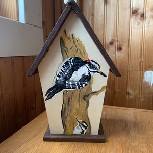 Hand-Painted Woodpecker Birdhouse