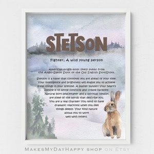 Puede incluir: Una impresión de acuarela con un fondo azul y gris que presenta un conejo marrón sentado en un bosque. La impresión incluye el nombre "Stetson" en texto marrón y una descripción del significado del nombre: "Luchador; Una persona joven salvaje".