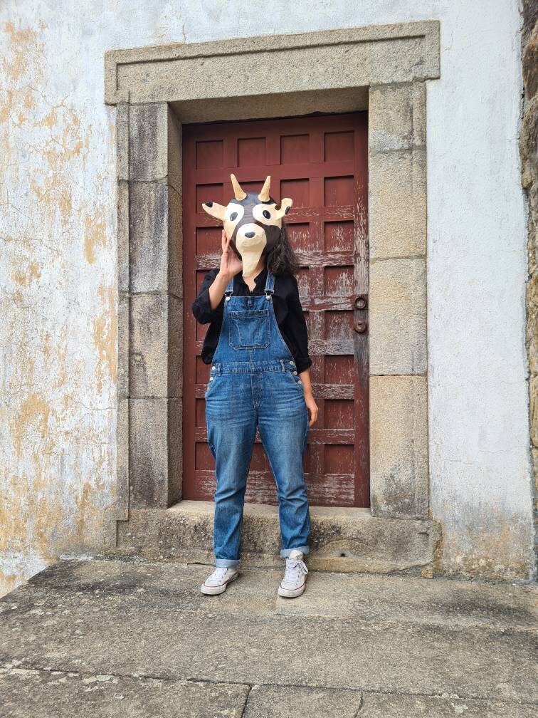 Paper Mache Goat Head Ezekiel. Farm Creature Sweet Animal Etsy UK