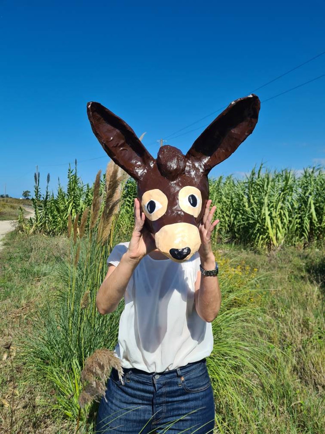 Paper Mache Donkey Head Elias. Sweet Creature Colorful Wall Etsy