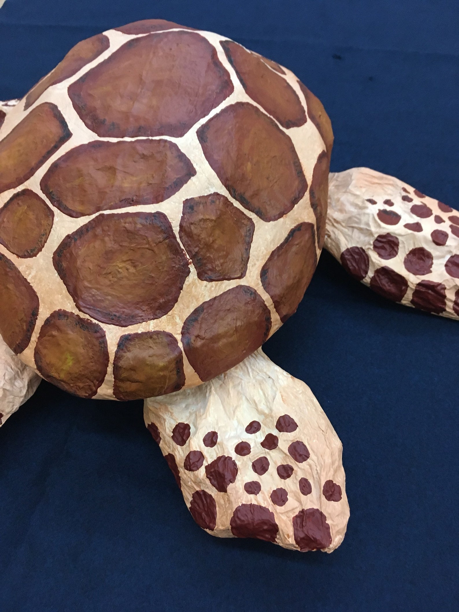 Paper Mache Sea Turtle Antonio. Large Paper Sculpture Etsy New Zealand