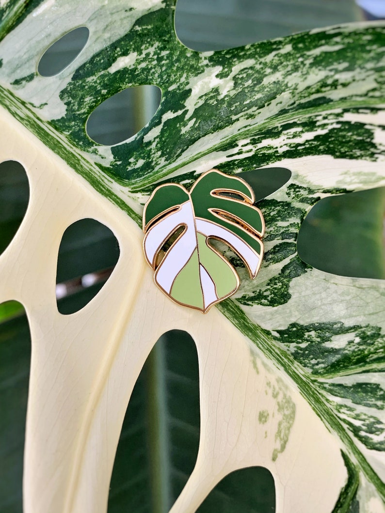 May include: A gold-colored enamel pin shaped like a monstera leaf. The leaf is green and white with a gold outline.