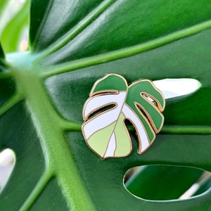 May include: A green and white enamel pin shaped like a monstera leaf. The pin is on a green leaf background.