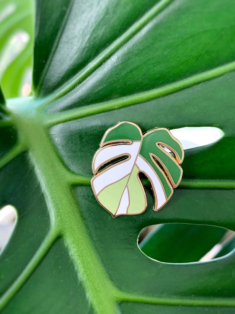 May include: A green and white enamel pin shaped like a monstera leaf. The pin is on a green leaf background.