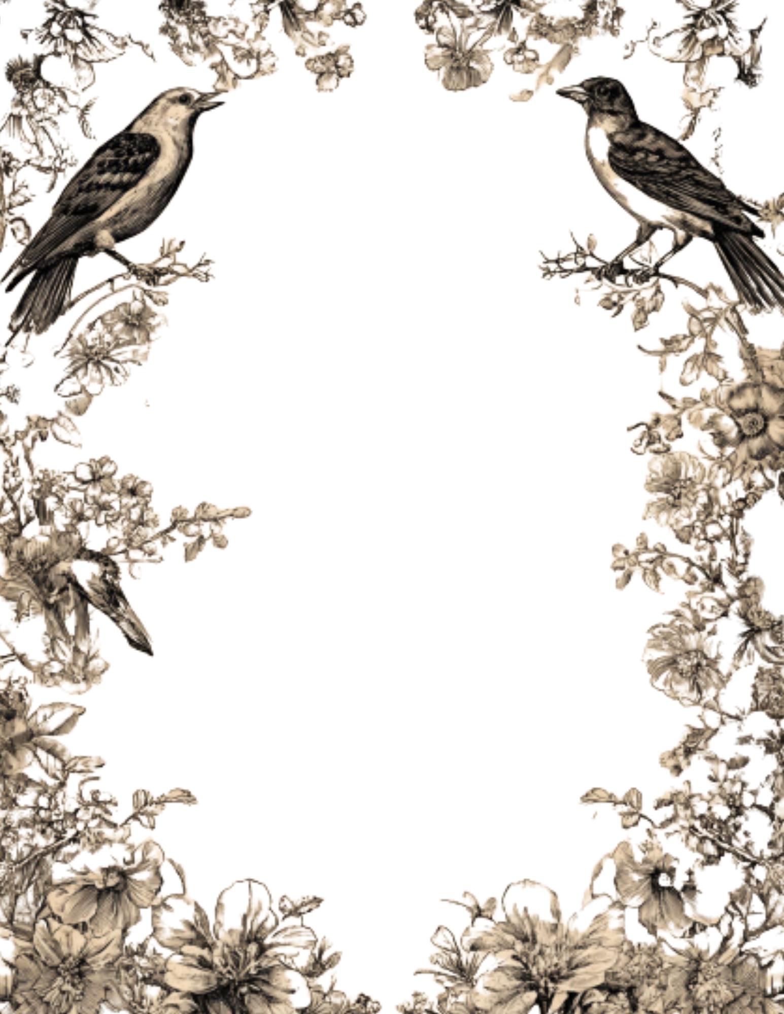Vintage Birds Writing Paper Design - Lot of 5 - Etsy