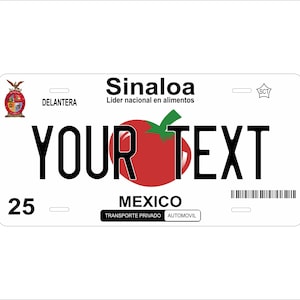 Sinaloa, Mexique, nouveauté personnalisée personnalisée, nouveauté, VTT, cyclomoteur, mini, plaque d'immatriculation