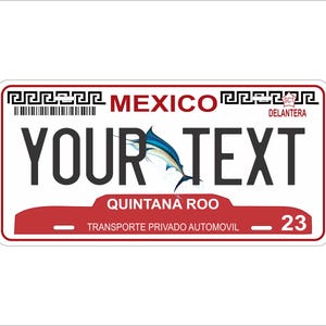 Quintana Roo 2011 Mexico Custom Personalized Novelty ATV Moped  Mini Bike License Plate