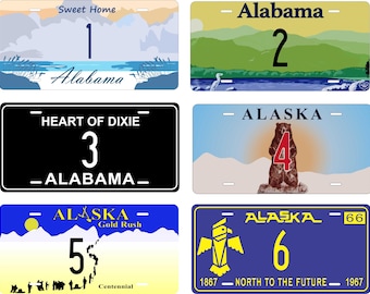 Numerosos diseños estadounidenses ver1 Placa de matrícula personalizada novedosa para ATV y minimoto