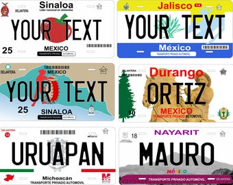 Mexico States Design Custom Novelty Auto ATV  Mini Bike License Plate