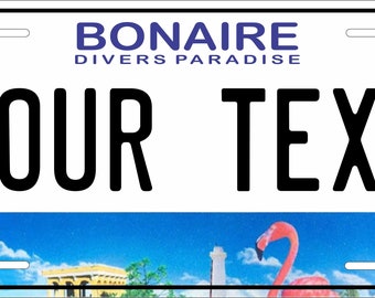 Bonaire 2013 License Plate Personalized Custom ATV Mini Bike Moped