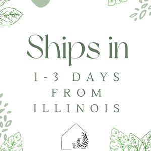 May include: A white graphic sign featuring sage green botanical leaf illustrations in the corners. The text reads Ships in 1-3 DAYS FROM ILLINOIS. Below the text is a house-shaped logo with leaves inside and the text ALL THINGS HOME.