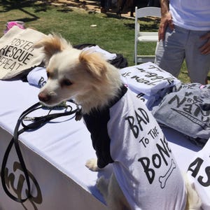 Cute as Fuck Dog Shirt | Doggy T-shirt | Puppy tee image 2