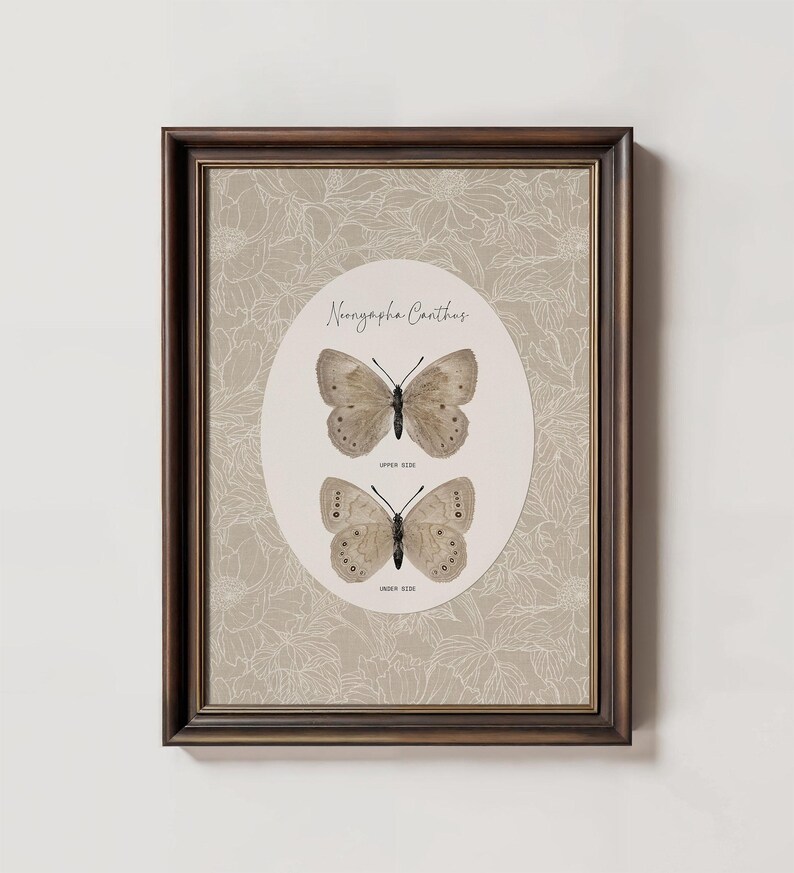 Vintage Butterfly Art Print: Cottagecore Insect Poster (digital ...