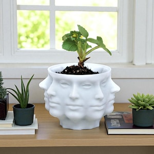 Multi-Face Planter 3D Printed Polyface Plant Pot with Drainage Modern Face Planter for Indoor Plants & Succulents Gothic Home Décor Gift